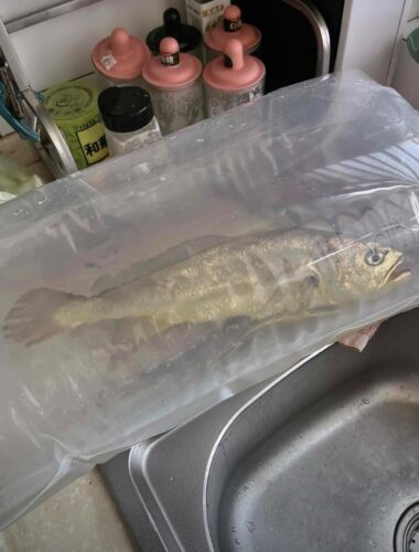 Sea-farmed yellow croaker, delivered live to your door — triple compensation for dead fish! photo review